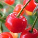 청성농협 이미지