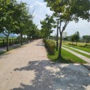 순천만 우리 이미지