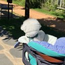 부산시민공원방문자센터지하1층 | 시원하고 깔끔했던 부산시민공원 카페 부산콘서트홀 온어스코리아