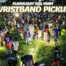 라운드락 밤에하는 에그 헌팅?! Flashlight Egg Hunt 4/17일 오늘 (0-4세) 이미지