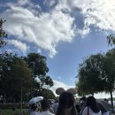 N153 | 상해여행 3-5일차/상해 디즈니랜드 오픈런/중국기념품 추천/장유와인/릴리안베이커리