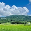 동락점빵 이동장터 이야기] 7월 10일 운행기록 이미지