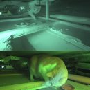 진순농장 이미지