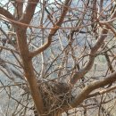 모악산마실길 2코스 이미지