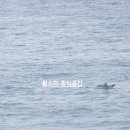 노을담은뜨락 | 제주 돌고래뷰 펜션_'노을 담은 뜨락' 이용후기