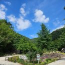 자두마을 | 정읍 자두마을 캠핑장 3번째 방문 후기(큰사이트7, 수영장)