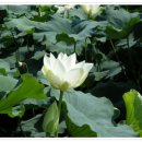 남도의 향기 이미지