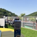 동국제약(주) - 강남구 대치동 | 동국제약 캐니벅스 후기 : 산책 필수템 진드기 기피제 캐니벅스 스프레이