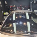 Y1소프트 이미지