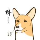 모아트의원 이미지