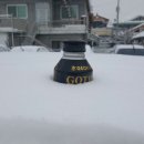 감악산 캠핑숲 이미지