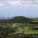 표선면-5 이미지