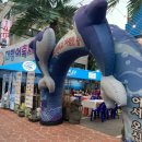 올레요 회센터 이미지