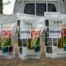 버터넛 이미지