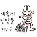 탈모야놀자 이미지