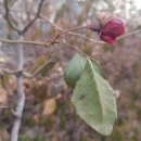 (주)은성산업 이미지