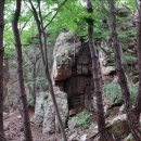 ▣ 화순3경:-하늘다리(운해+일출)=천불봉~백아산=새들의요람지-1 이미지
