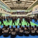 타이거 합기도 이미지