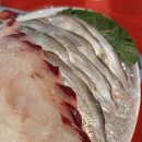 서래수산 | 밴댕이 회 세꼬시 / 5월 제철회 추천 / 포장회 모둠회 포장 가격 내돈내산 후기 / 밴댕이소갈딱지 뜻