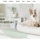 엘르독 이미지