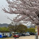 초평낚시터 이미지