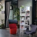 살롱드, 왈 이미지