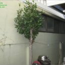 동문대로 이미지