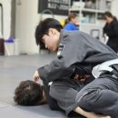 크로스 주짓수 이미지