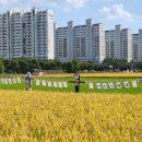 논두렁 | [2024북구 논두렁 밭두렁 마을축제 후기] &#39;기후 위기, 마을을 지켜라!&#39;