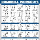 라이언 휘트니스 이미지