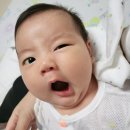 체육관 | 육아템 추천 감각발달 완벽템 피셔프라이스 아기체육관 후기