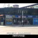 반도턱시