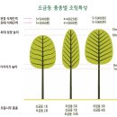 오동슈퍼 이미지