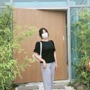 나비드치킨