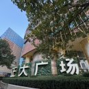 정대 | 중국 상하이 딤섬 맛집 추천 점도덕 정대광장점 방문후기 (웨이팅방법, 고덕지도주소, 메뉴추천)