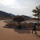 해초동산 이미지