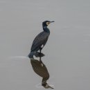 갯골근린공원 이미지