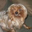 웃으면복이와요 이미지