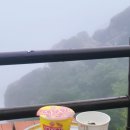 1293 | 진주 남해 거제 여행. 맛집들 다 모여
