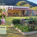 노루목향기 이미지