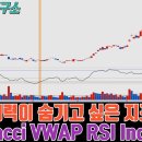 세력이 숨기고 싶은 지표 - Fibonacci VWAP RSI Indicator 이미지