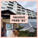 담양리조트가족호텔 | 겨울 무주 여행 덕유산리조트 가족호텔 골드 솔직 후기