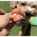 양산유치원 이미지