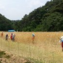동계축산 이미지