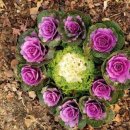 당현천길 이미지