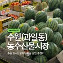 농수산물도매시장_상 | 수원 농수산물도매시장 과일동 방문후기 및 영업시간 주차 휴무일 총정리
