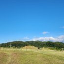 신답리 고분 화장실 이미지