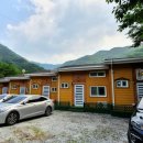 속리산통나무펜션 | 괴산계곡펜션 수영장, 몽골텐트 개별바베큐장, 나무향기 가득한 속리산통나무펜션