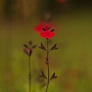 무이예술관 이미지