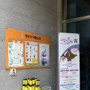 222 | [충남 공주] 공주산림휴양마을 1박 2일 무성산 객실 후기, 예약 방법